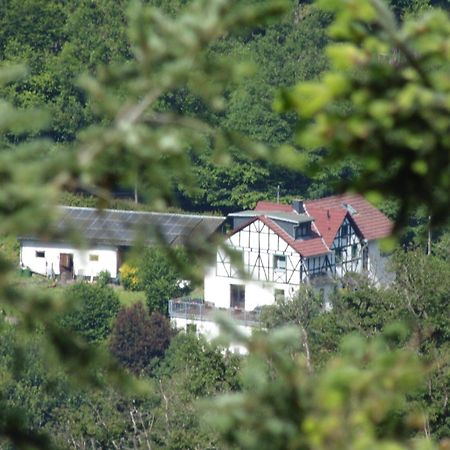 Ferienwohnung Schaefer Waldbreitbach エクステリア 写真