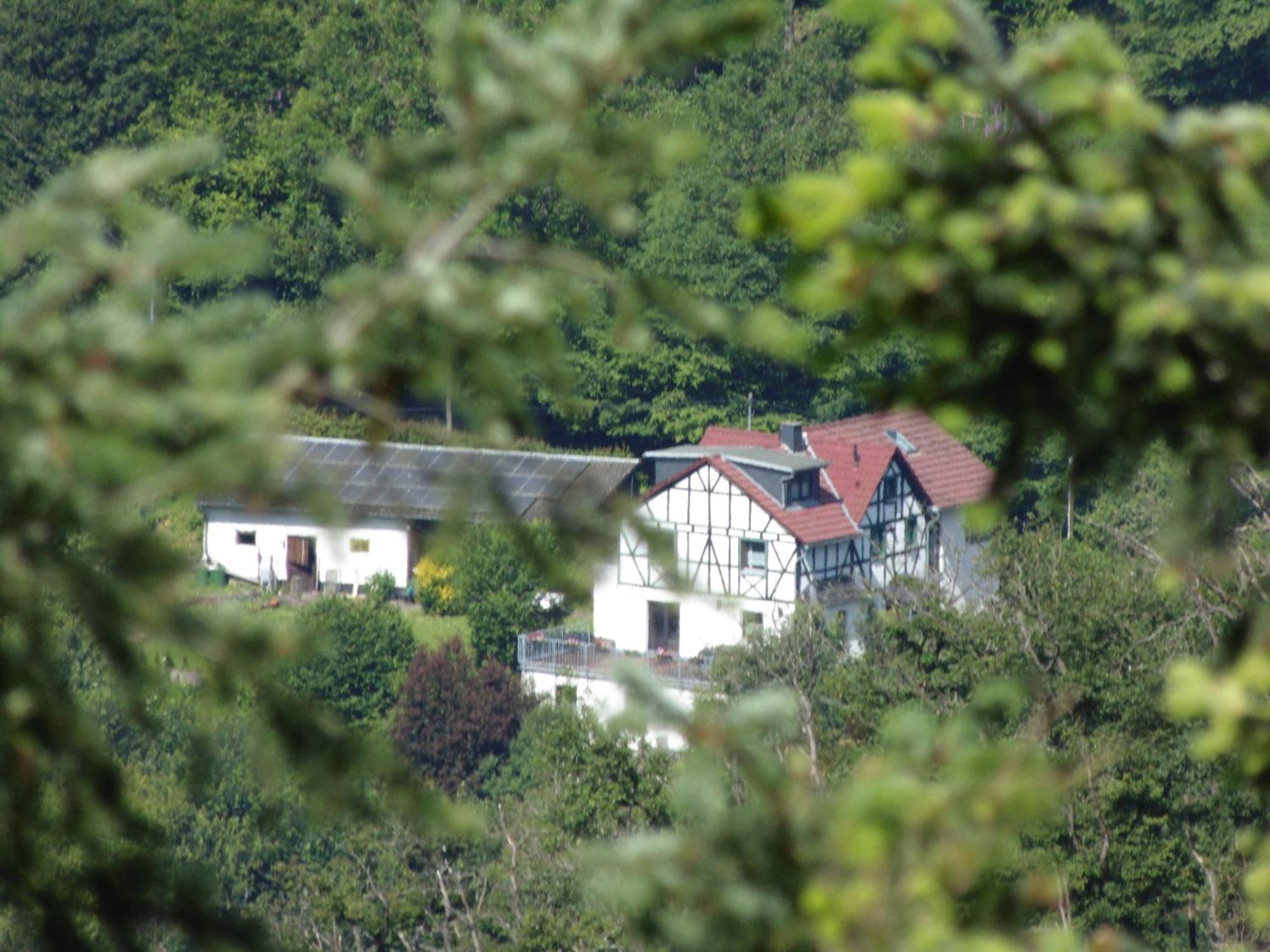 Ferienwohnung Schaefer Waldbreitbach エクステリア 写真