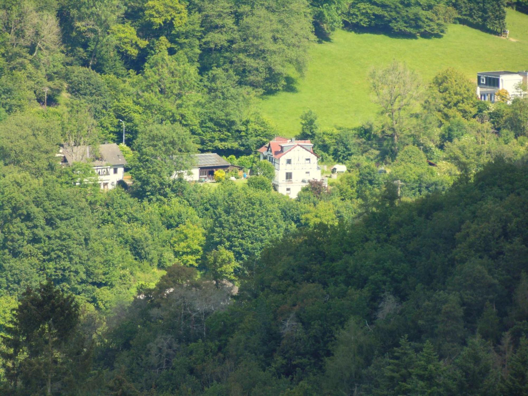 Ferienwohnung Schaefer Waldbreitbach エクステリア 写真