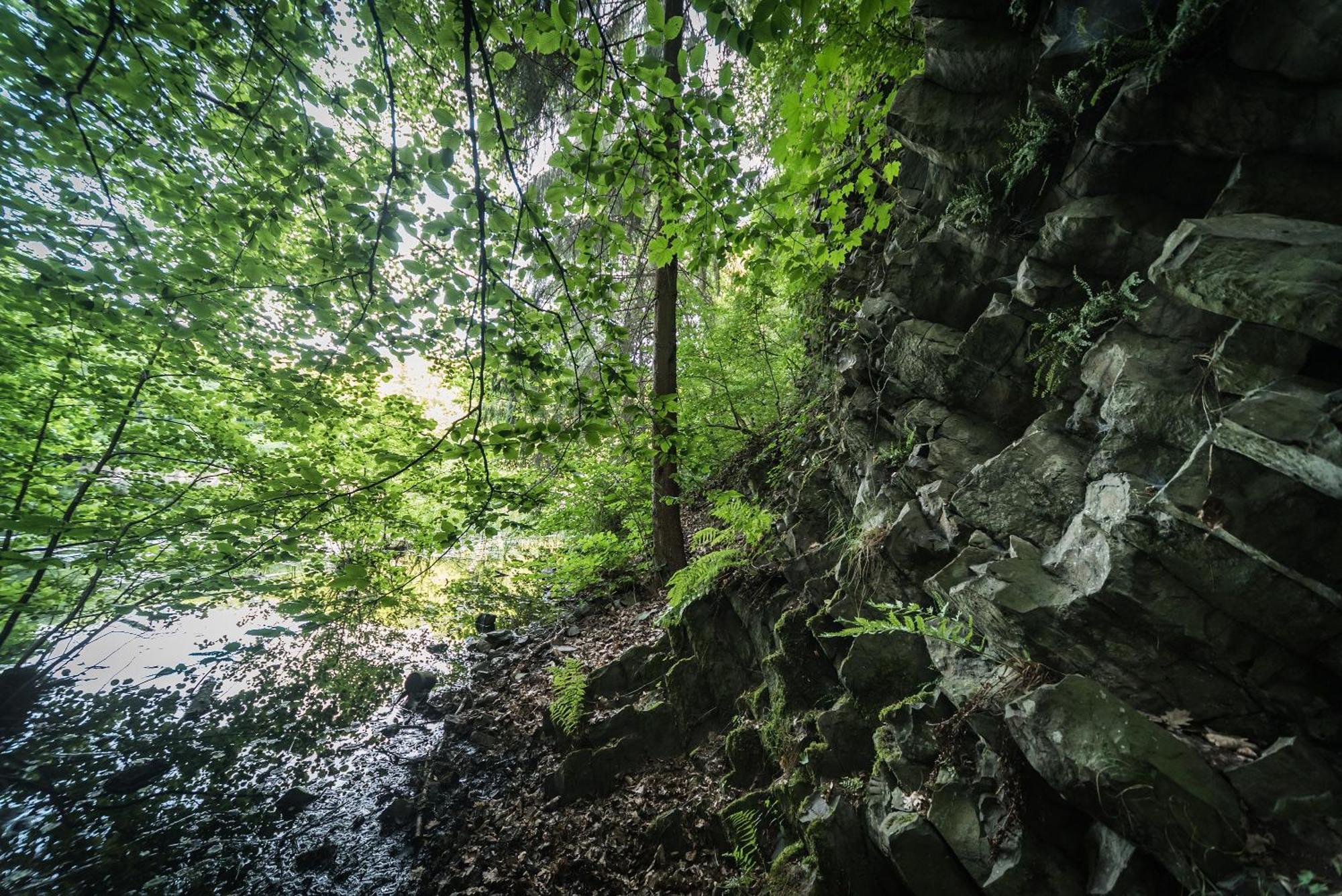 Ferienwohnung Schaefer Waldbreitbach エクステリア 写真